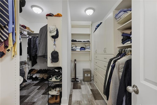 walk in closet with wood-type flooring