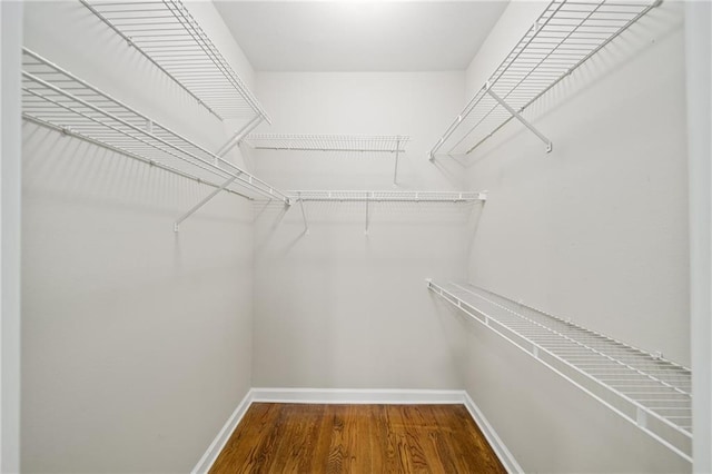 spacious closet featuring hardwood / wood-style floors