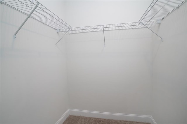walk in closet with carpet