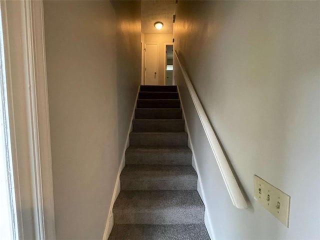 stairs featuring carpet flooring