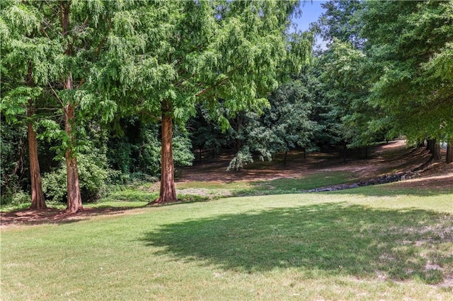 view of yard featuring a wooded view