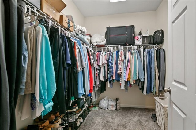 spacious closet with carpet floors