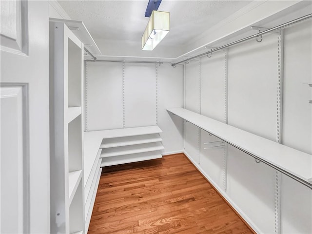 walk in closet with hardwood / wood-style floors