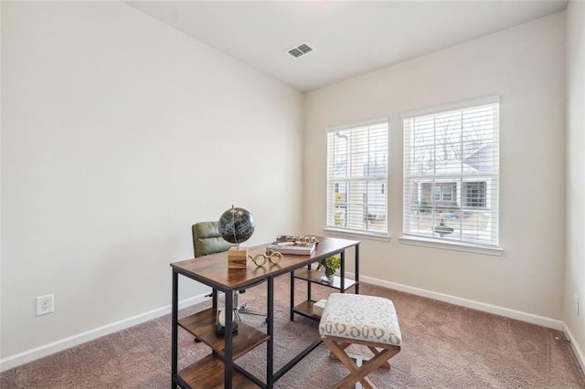 office space with carpet floors