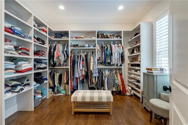 spacious closet with dark hardwood / wood-style flooring