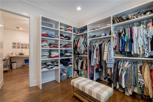 spacious closet featuring dark wood-type flooring