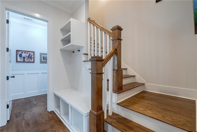 mudroom featuring dark wood-type flooring