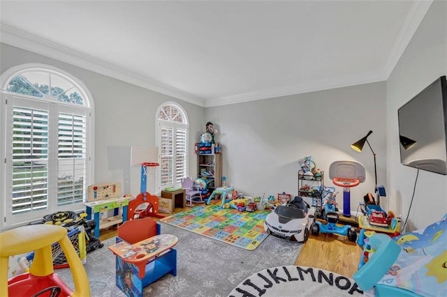 playroom featuring ornamental molding, a wealth of natural light, and wood-type flooring