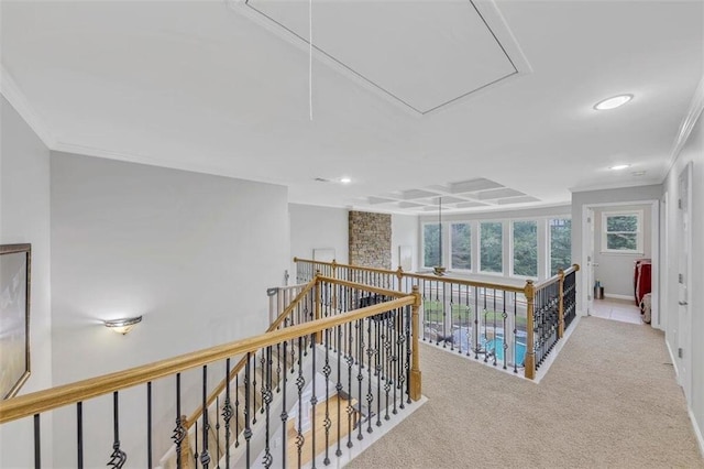 corridor with crown molding and light colored carpet