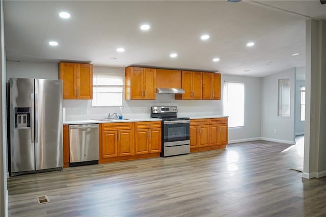 kitchen with sink, light hardwood / wood-style floors, and appliances with stainless steel finishes