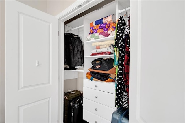 view of closet