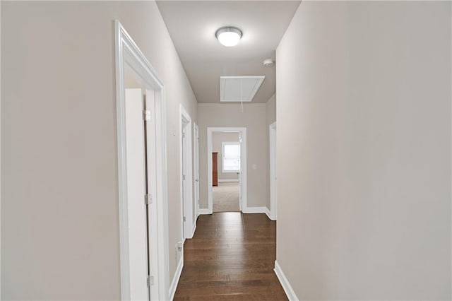 hallway featuring dark hardwood / wood-style flooring