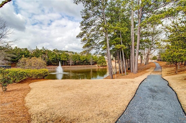 view of community featuring a water view