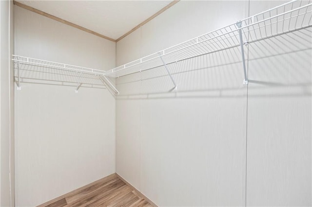 spacious closet featuring hardwood / wood-style floors