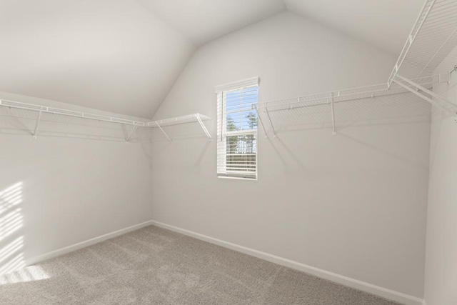 spacious closet featuring lofted ceiling and carpet flooring