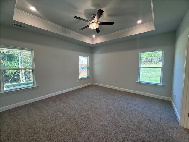 carpeted empty room featuring a tray ceiling, a wealth of natural light, and ceiling fan