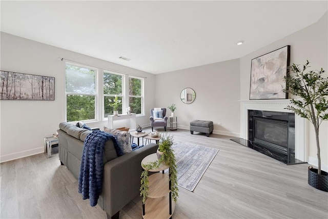 6018 Oakdale Rd SE, Mableton, GA 30126 - living room with light wood finished floors and a glass covered fireplace
