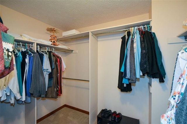 118 Heritage Way, Peachtree City, GA 30269 - spacious closet with carpet