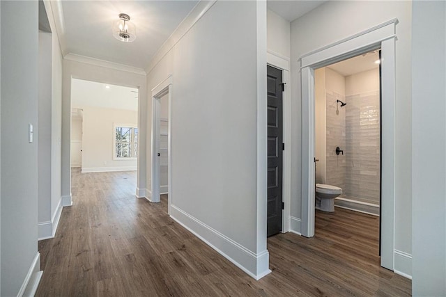 corridor featuring ornamental molding and dark hardwood / wood-style flooring