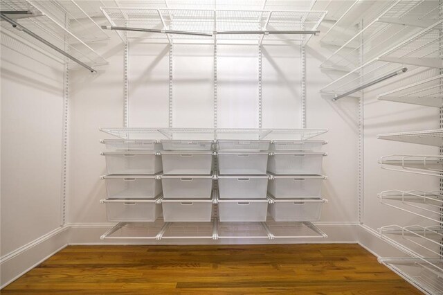 walk in closet featuring dark hardwood / wood-style flooring