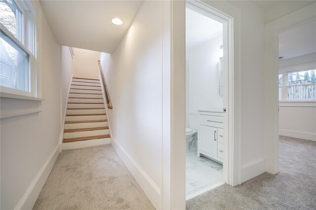 staircase with carpet flooring