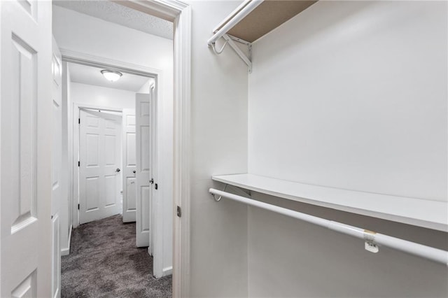 spacious closet with dark carpet