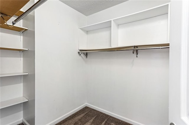 spacious closet with dark colored carpet