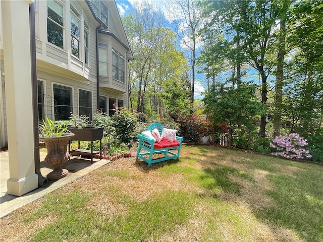 view of yard