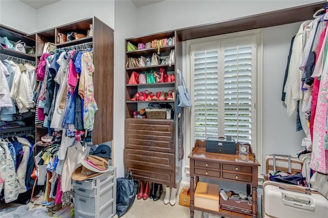 spacious closet featuring carpet flooring