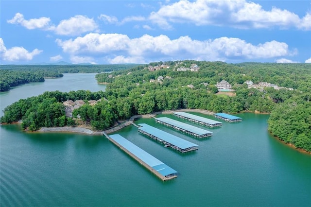 aerial view featuring a view of trees and a water view