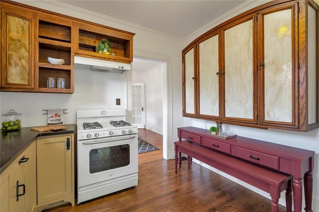 636 Cameron St SE, Atlanta, GA 30312 - kitchen with white range with gas cooktop, dark wood-type flooring, under cabinet range hood, open shelves, and dark countertops