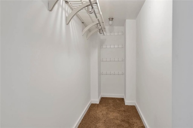 636 Cameron St SE, Atlanta, GA 30312 - walk in closet featuring carpet floors