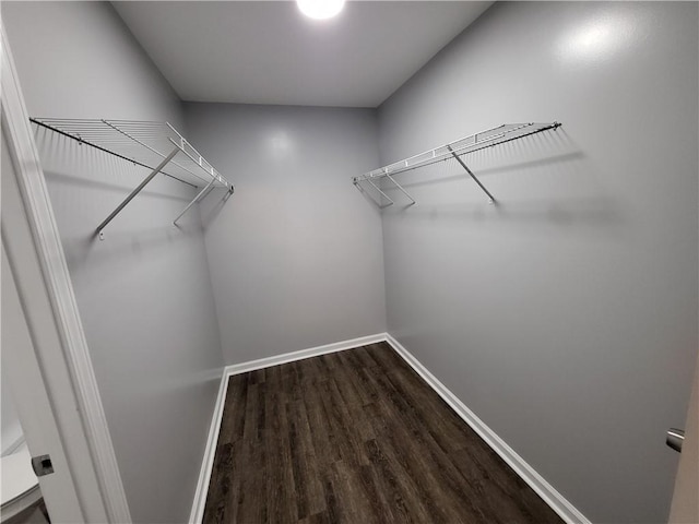 walk in closet with dark hardwood / wood-style floors