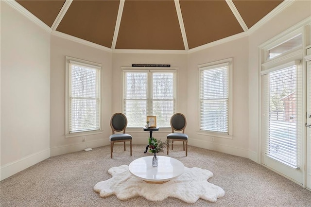 living area featuring high vaulted ceiling, carpet, and crown molding