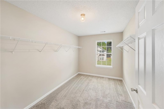 spacious closet with carpet