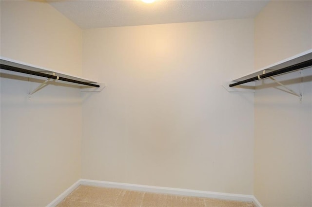 spacious closet featuring carpet flooring