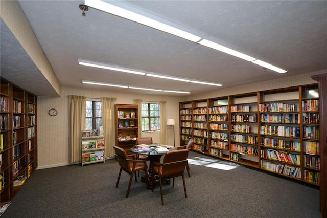 living area featuring dark colored carpet