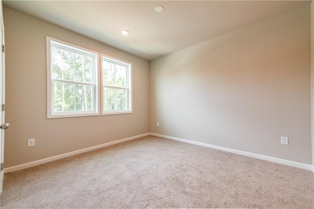 spare room featuring carpet floors