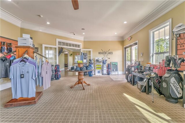 miscellaneous room featuring crown molding and carpet floors