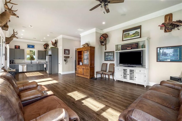 living room featuring ornamental molding, ceiling fan, dark wood-type flooring, and sink