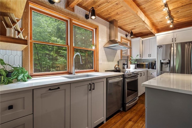 kitchen featuring appliances with stainless steel finishes, ventilation hood, dark wood-type flooring, sink, and wooden ceiling