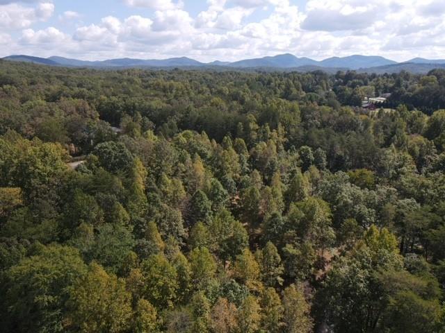14 Fairview Way, Morganton, GA 30560