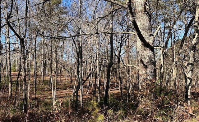 14 Fairview Way, Morganton, GA 30560