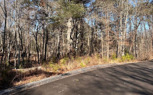 14 Fairview Way, Morganton, GA 30560