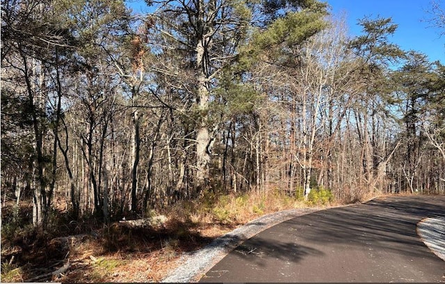 14 Fairview Way, Morganton, GA 30560