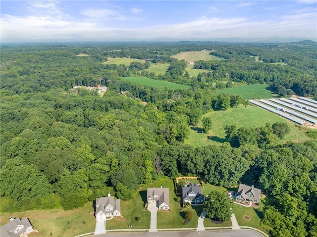 5821 Abbey View Ct, Clermont, GA 30527 - aerial view of property and surrounding area with a heavily wooded area