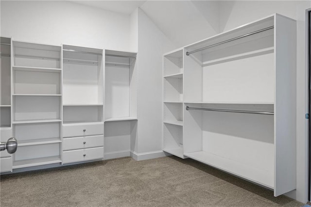 spacious closet featuring carpet