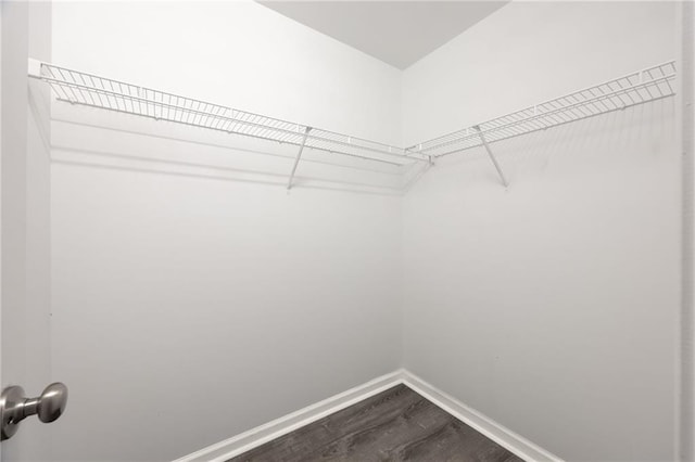 3737 Town Square Cir NW Unit 6, Kennesaw, GA 30144 - walk in closet featuring dark wood-style flooring