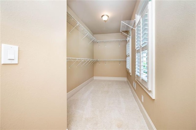 walk in closet featuring carpet floors