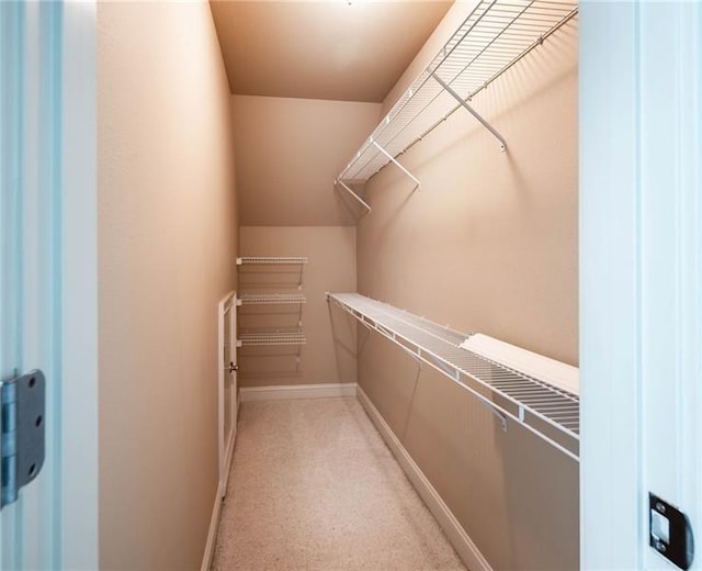 spacious closet with light colored carpet